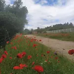 Ecoutez Les Oiseaux Arrivee En Toute Liberte Gæstehus 4*