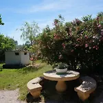 Ecoutez Les Oiseaux Arrivee En Toute Liberte Lunel (Herault)