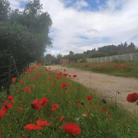 Ecoutez Les Oiseaux Arrivee En Toute Liberte Penzion 4*