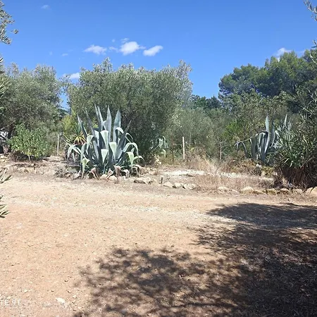 Penzion Ecoutez Les Oiseaux Arrivee En Toute Liberte 4*