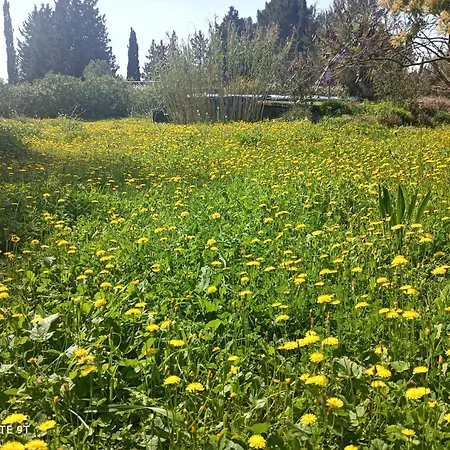 بيت ضيافة Ecoutez Les Oiseaux Arrivee En Toute Liberte