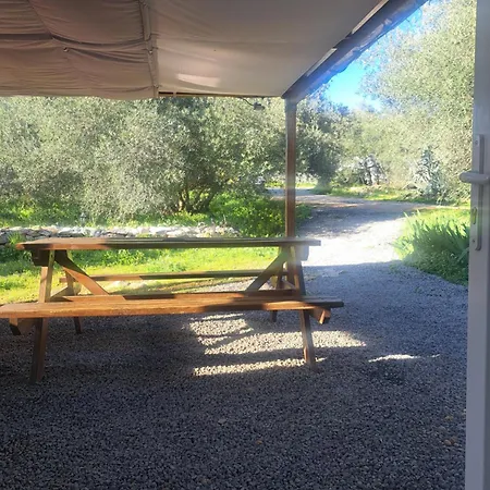 Ecoutez Les Oiseaux 3*