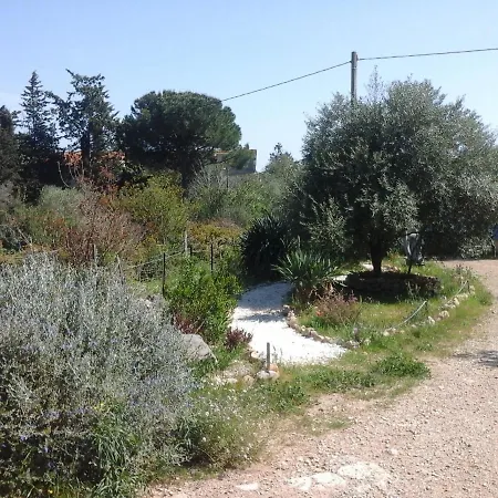 Ecoutez Les Oiseaux Arrivee En Toute Liberte Penzion Lunel (Herault)
