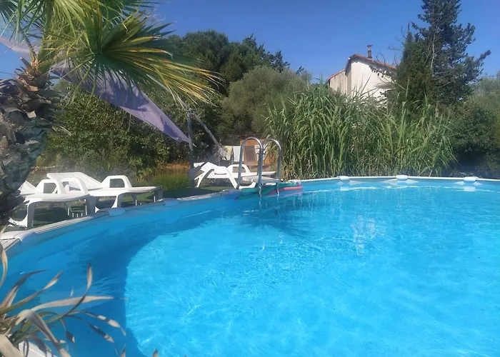 Ecoutez Les Oiseaux Arrivee En Toute Liberte 4*