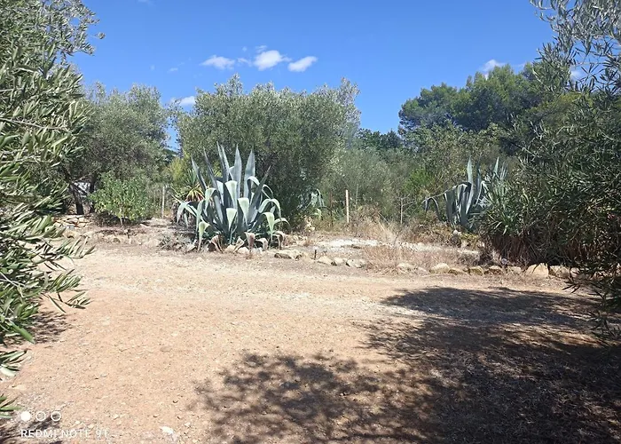 بيت ضيافة Ecoutez Les Oiseaux Arrivee En Toute Liberte 4*